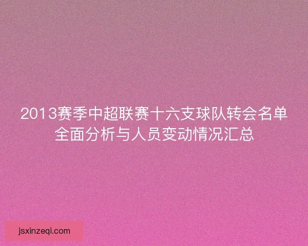 2013赛季中超联赛十六支球队转会名单全面分析与人员变动情况汇总