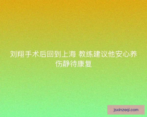 刘翔手术后回到上海 教练建议他安心养伤静待康复 刘翔手术后回到上海 教练建议他安心养伤静待康复